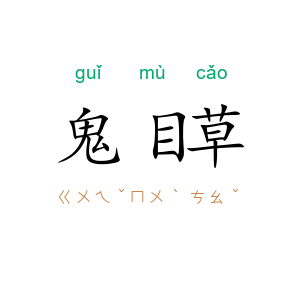 鬼目草
