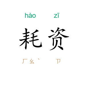 耗资