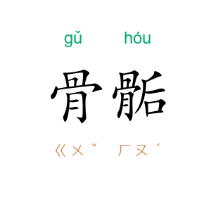 骨骺