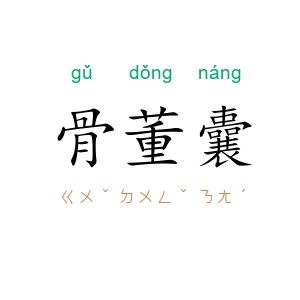 骨董囊