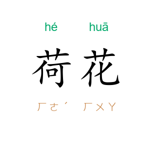 荷花