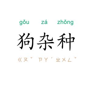 狗杂种