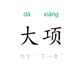 大项