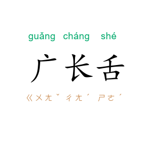 广长舌