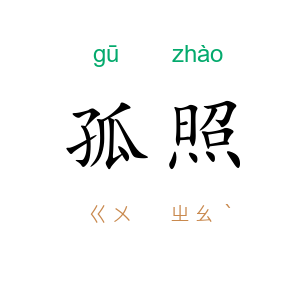 孤照