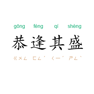 恭逢其盛