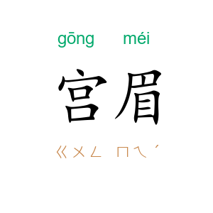宫眉