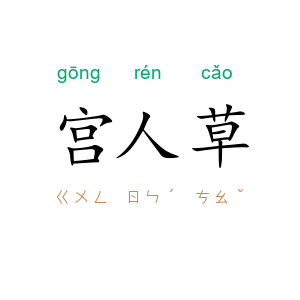 宫人草