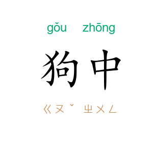 狗中