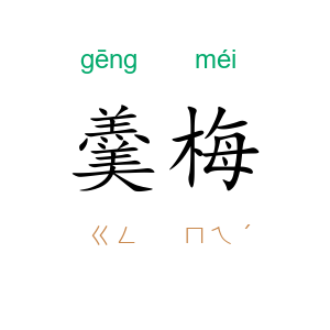羹梅