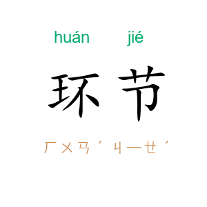 环节