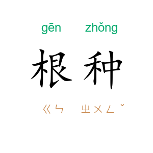 根种