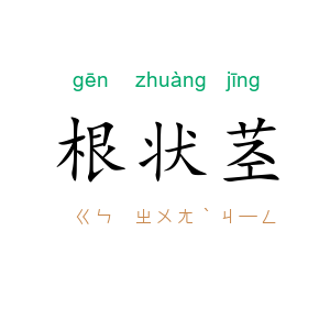 根状茎