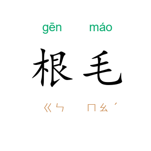 根毛