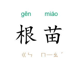 根苗