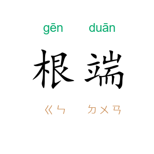 根端