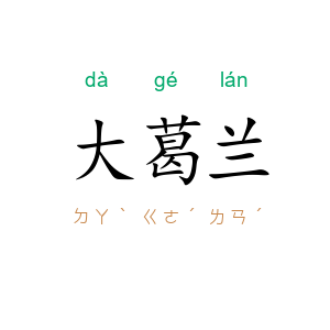 大葛兰