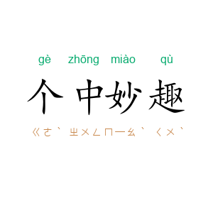 个中妙趣