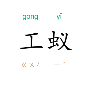 工蚁