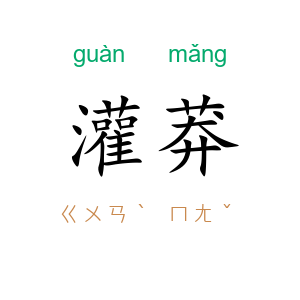 灌莽