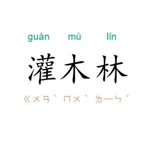 灌木林