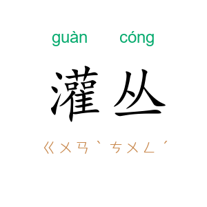灌丛