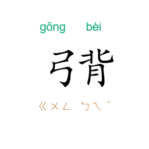 弓背