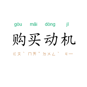 购买动机