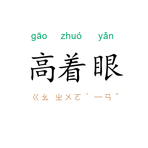高着眼