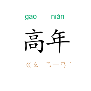 高年