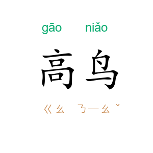 高鸟