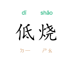 低烧