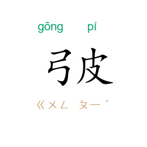 弓皮