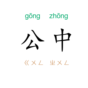 公中