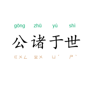 公诸于世