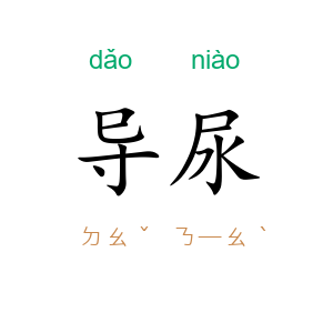 导尿