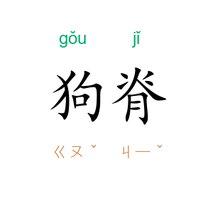狗脊
