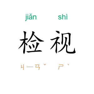 检视