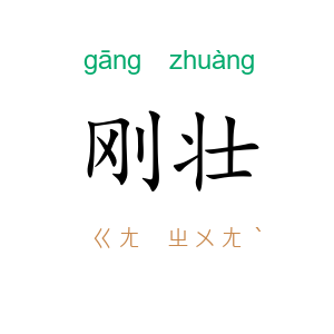 刚壮