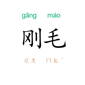 刚毛