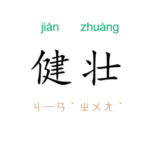 健壮