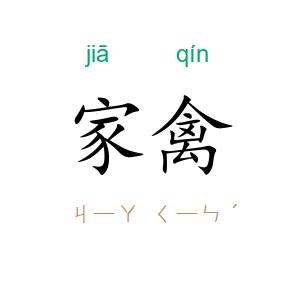 家禽