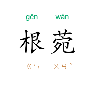 根菀